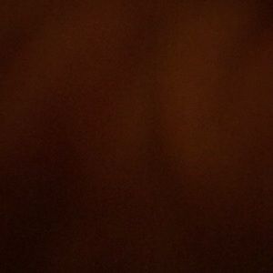 Meet your Posher, Janette